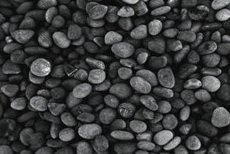 Mexican Beach Pebbles Smooth Decorative Gravel Tampa