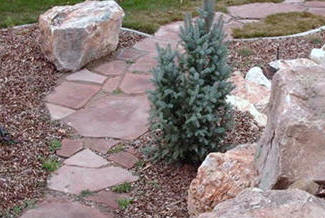Piedra Blanca para Jardín  Rock garden design, Rock garden landscaping,  Front yard landscaping